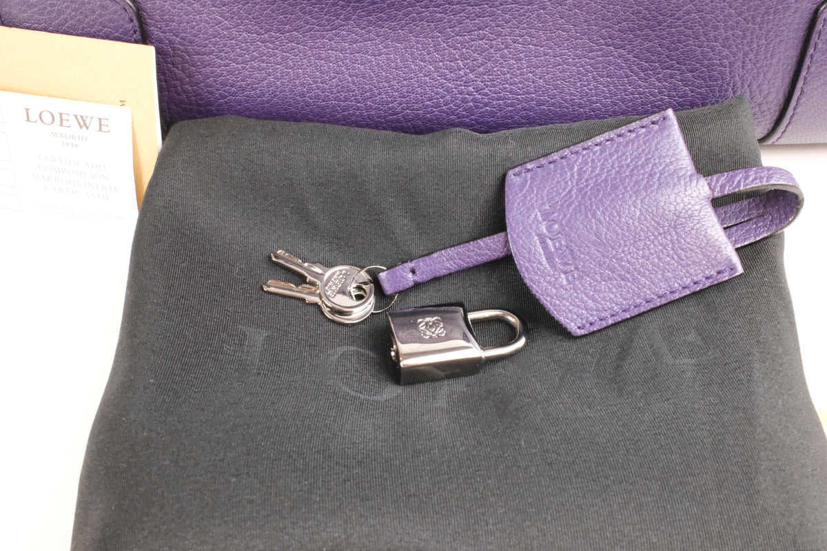 Loewe Amazona 28